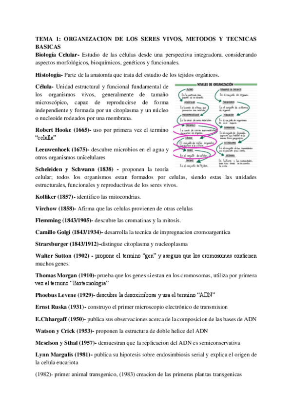 Miniatura del documento TEMA-1-ORGANIZACION-DE-LOS-SERES-VIVOS-METODOS-Y-TECNICAS-BASICAS.pdf