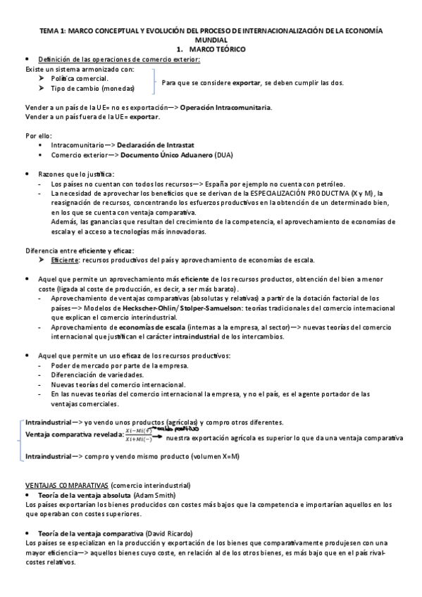 Miniatura del documento TEMA-1-INTERNACIONALIZACION.pdf