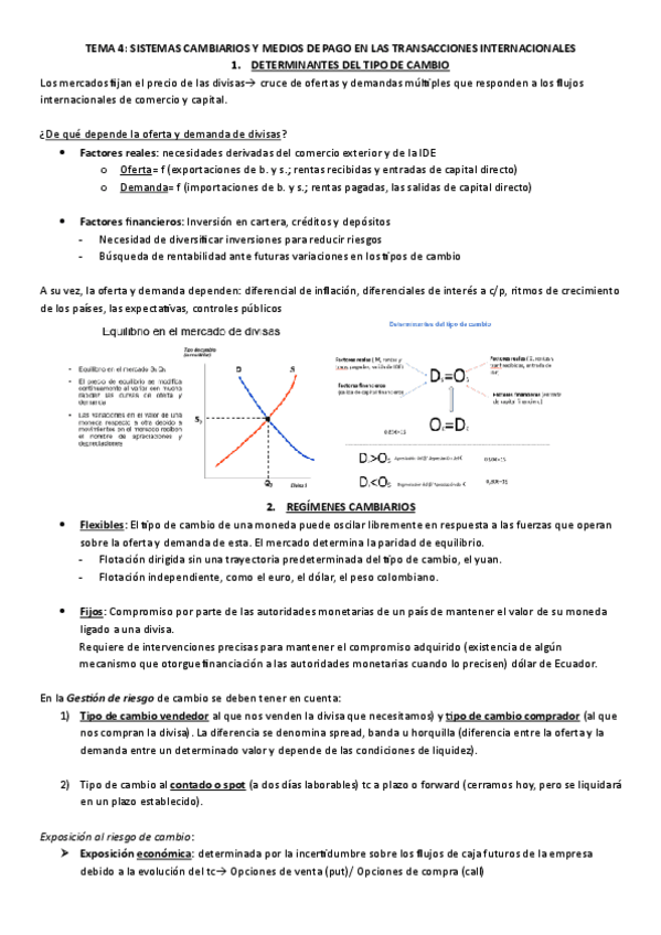 Miniatura del documento TEMA-4-INTERNACIONALIZACION.pdf