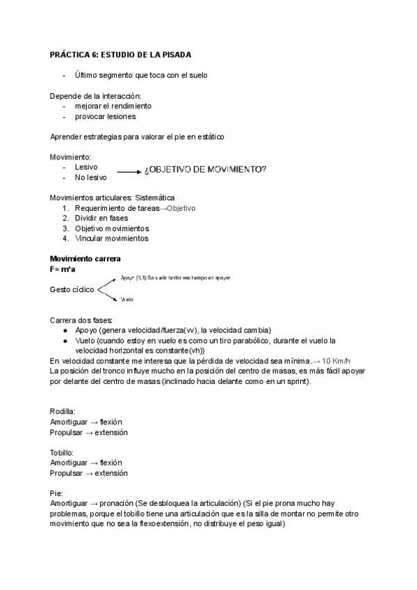 Miniatura del documento PRACTICAS-4-Y-6-BIOMECANICA.pdf