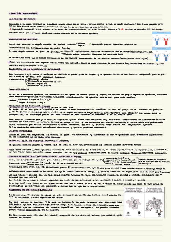 Miniatura del documento Inmuno-resumenes-P2.pdf