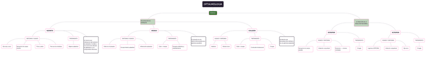 Miniatura del documento Mapa-mental-oftalmologia.pdf