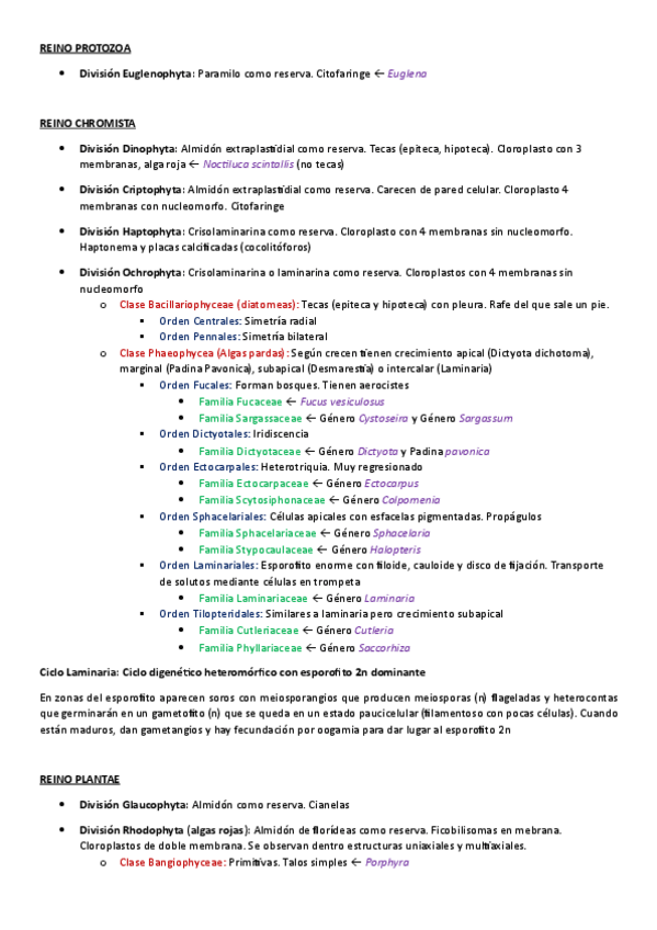 Miniatura del documento RESUMEN-SISTEMATICA-ALGAS.pdf