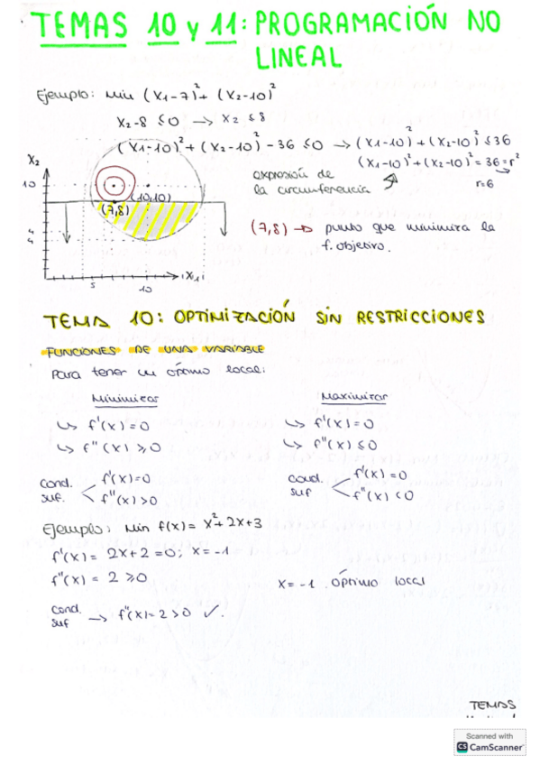 Miniatura del documento Temas-10-y-11-Programacion-No-Lineal.pdf