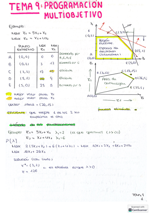 Miniatura del documento Tema-9-Programacion-multiobjetivo.pdf