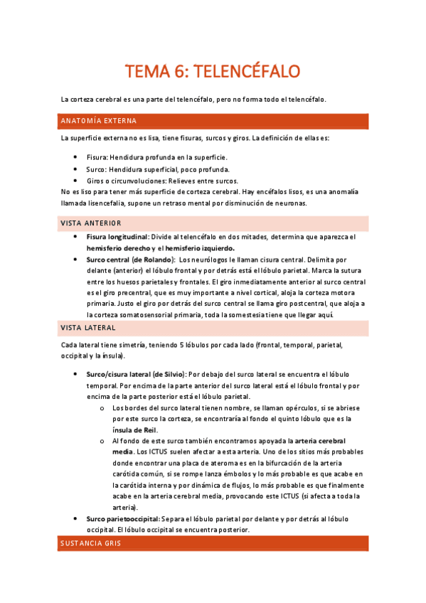 Miniatura del documento TEMA-6-TELENCEFALO.pdf