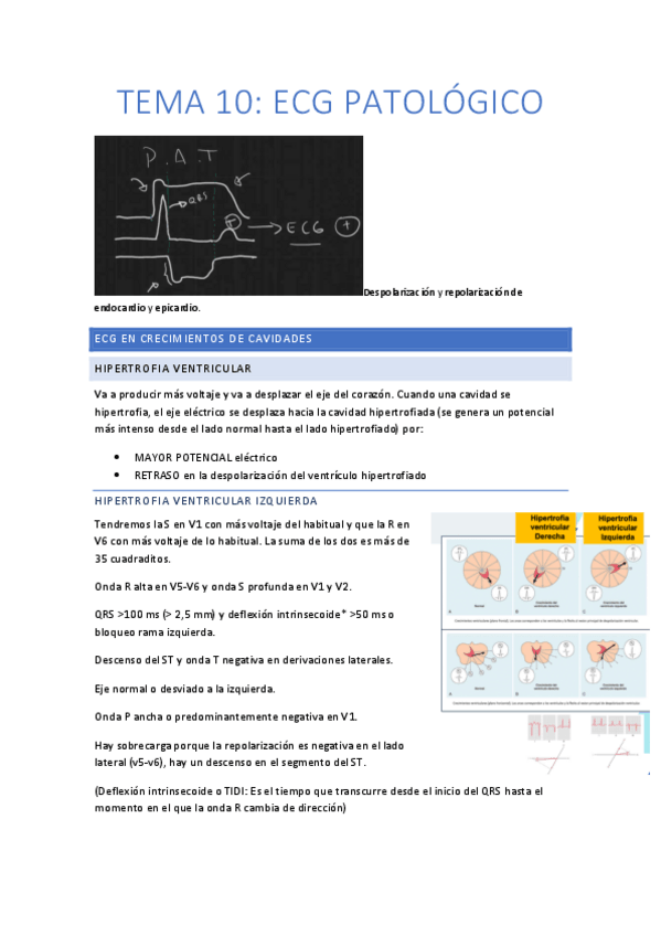 Miniatura del documento TEMA-10.pdf