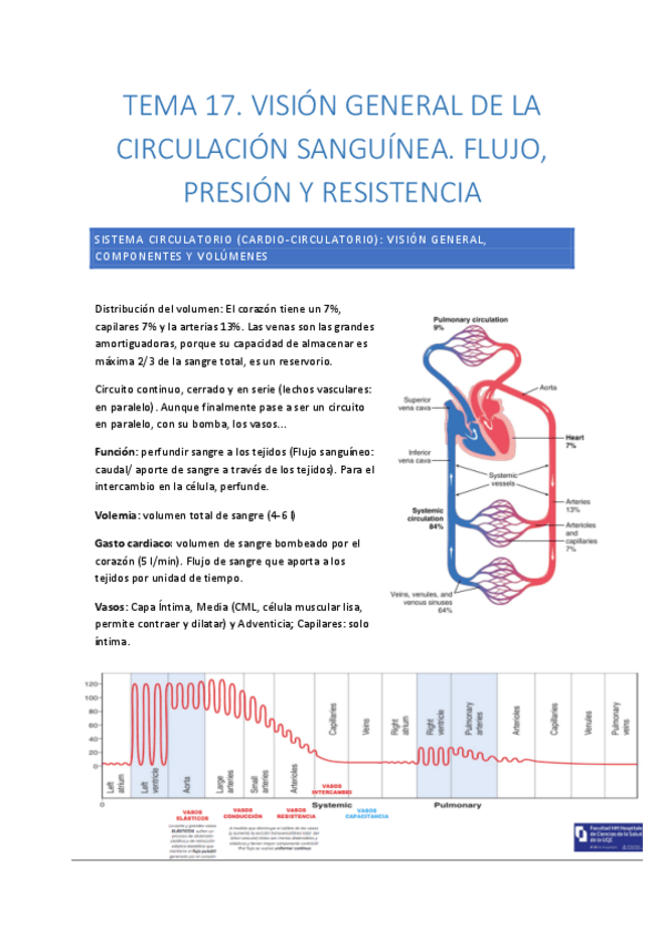 Miniatura del documento TEMA-17.pdf