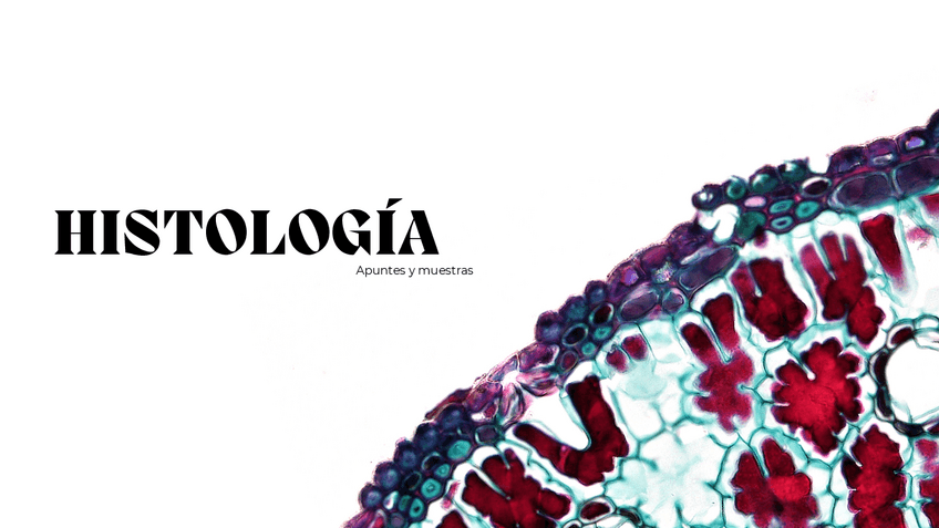 Miniatura del documento Definitivos HISTO 1.pdf