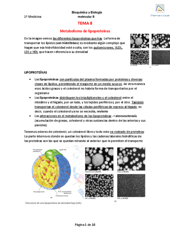 Miniatura del documento Tema-8-Metabolismo-de-lipoproteinas.pdf