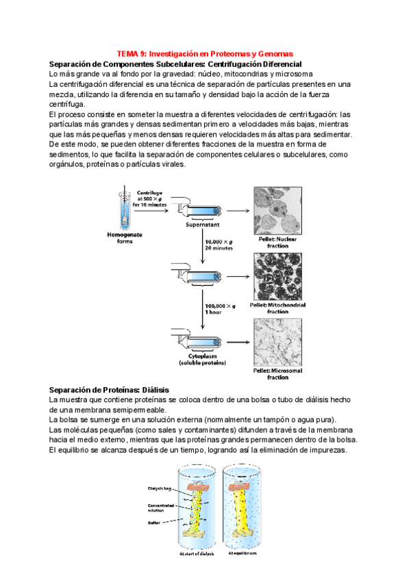 Miniatura del documento APUNTES-BIOQUIMICA-TEMA-9.pdf