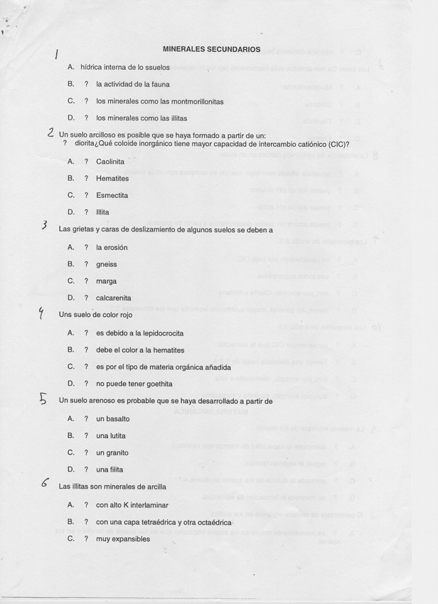 Miniatura del documento Test.pdf