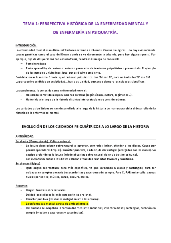 Miniatura del documento 1. HISTORIA.pdf