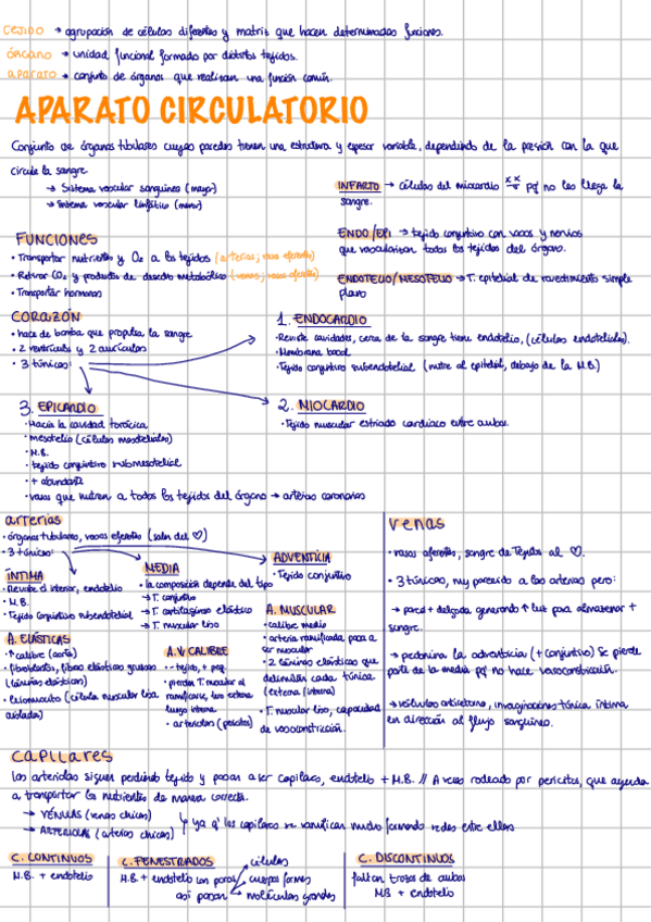 Miniatura del documento apuntes-histologia-ambos-parciales.pdf