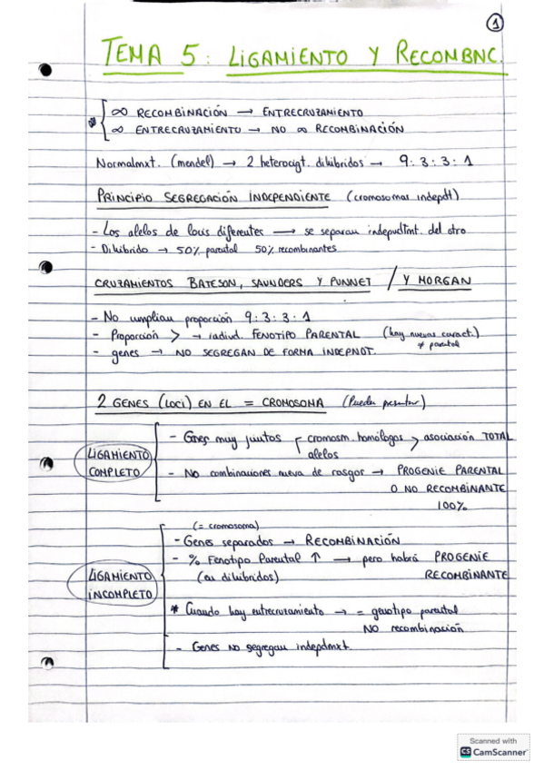 Miniatura del documento TEMA-5-GENETICA.pdf