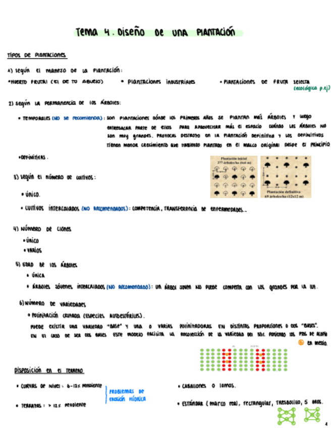 Miniatura del documento 4.1-Diseno-De-Plantacion.pdf