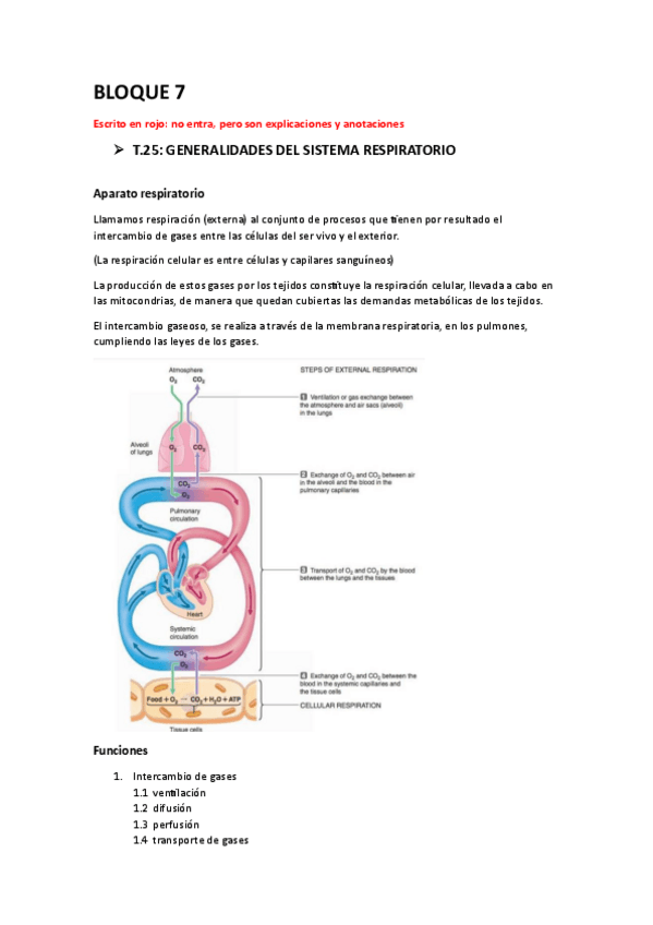Miniatura del documento BLOQUE-7.-SISTEMA-RESPIRATORIO.pdf