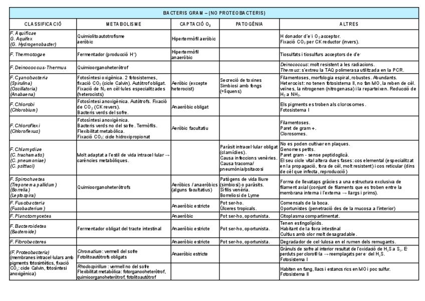 Miniatura del documento quadre-resum-bacteris-temes-14-15-i-16.pdf