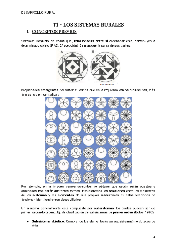 Miniatura del documento T1-DRUR.pdf