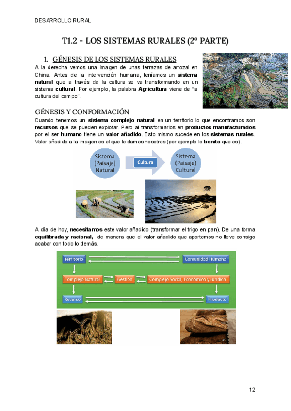 Miniatura del documento T1.2-DRUR.pdf