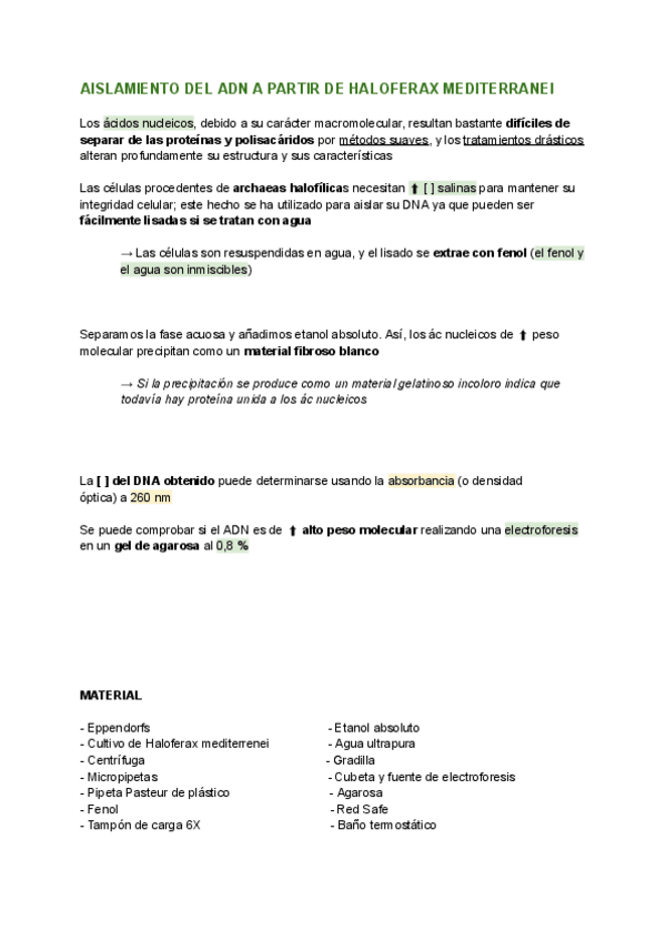 Miniatura del documento PRACTICA-1.pdf