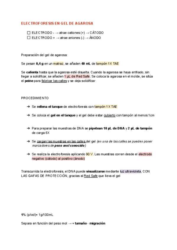 Miniatura del documento PRACTICA-5.pdf