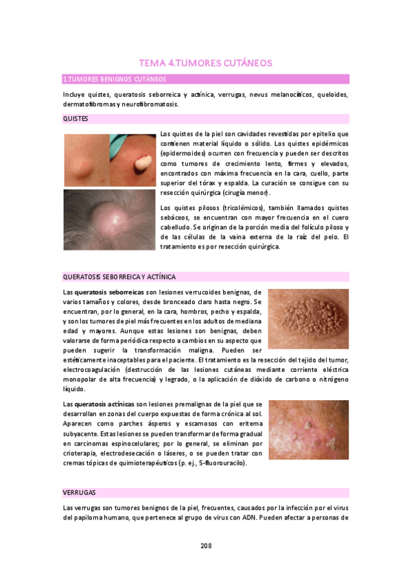 Miniatura del documento CLI-II-BLOQUE-5.4.pdf