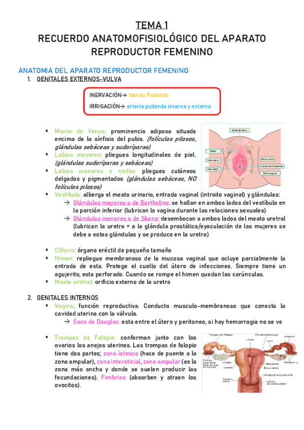 Miniatura del documento TEMA-1-RECUERDO-ANATOMOFISIOLOGICO.pdf