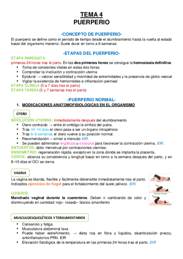 Miniatura del documento TEMA-4-PUERPERIO.pdf