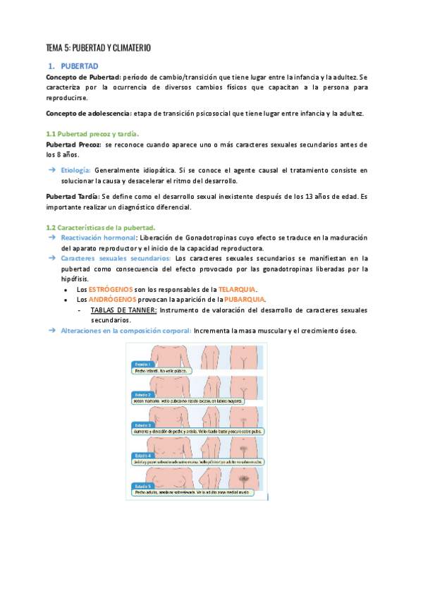 Miniatura del documento TEMA-5-PUBERTAD-Y-CLIMATERIO-apuntes.pdf