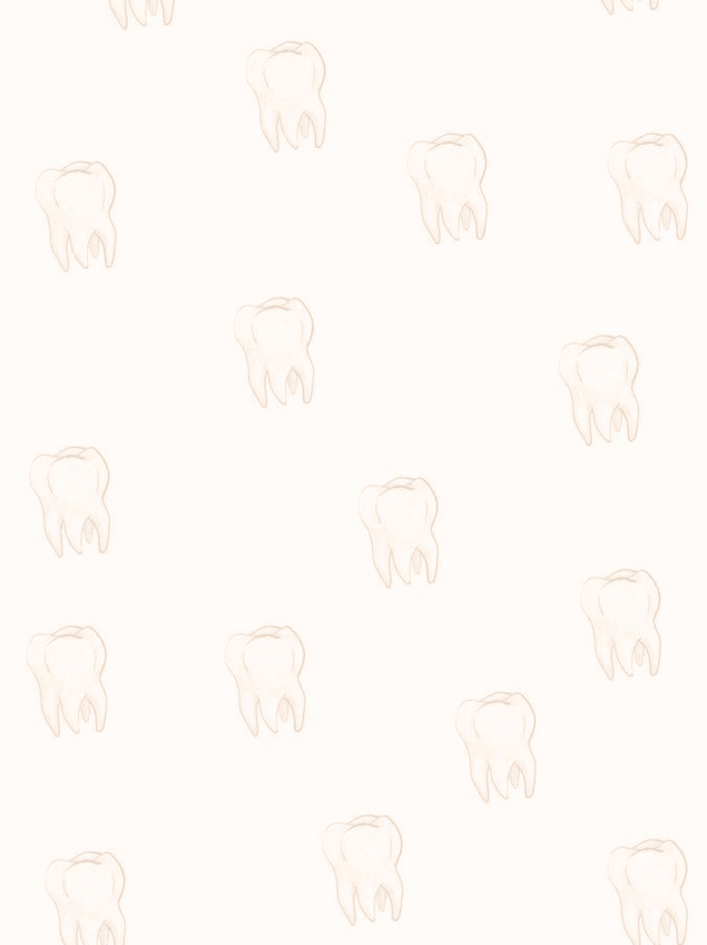 Miniatura del documento Morfologia-dental-limpio.pdf