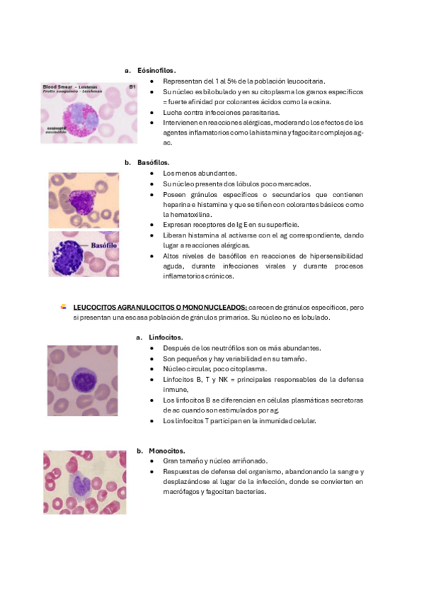 Miniatura del documento BASES-BIOLOGICAS-parte-3.pdf