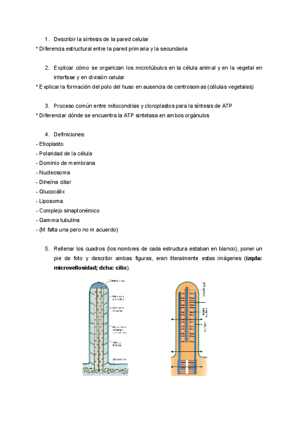 Miniatura del documento Examen-Ordinario-2025.pdf