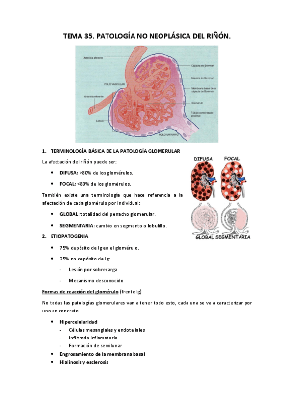 Miniatura del documento Tema 35.pdf
