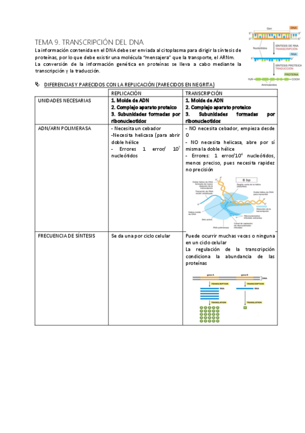 Miniatura del documento TEMA-9.pdf