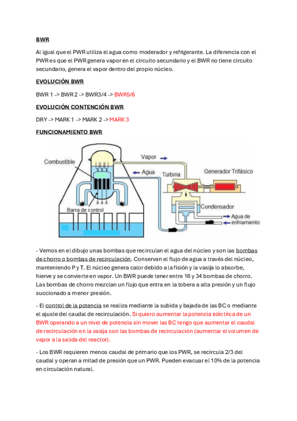 Miniatura del documento BWR.pdf