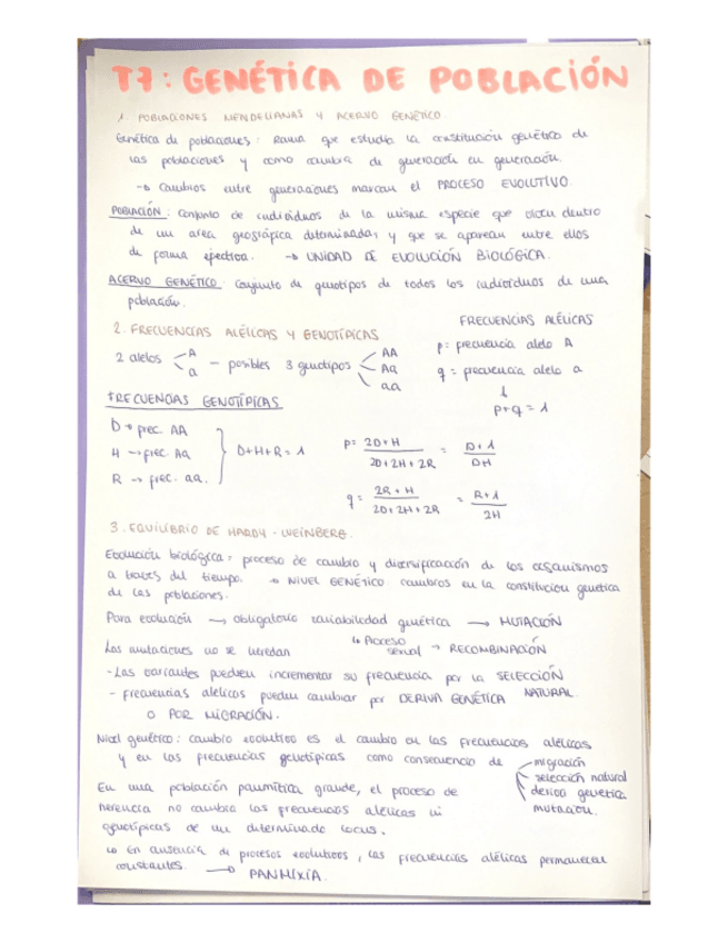Miniatura del documento tema-7-resumen.pdf