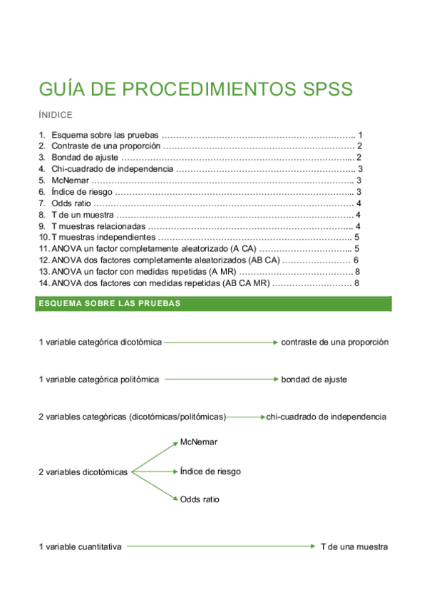 Miniatura del documento APUNTES-PROCEDIMIENTOS-SPSS.pdf