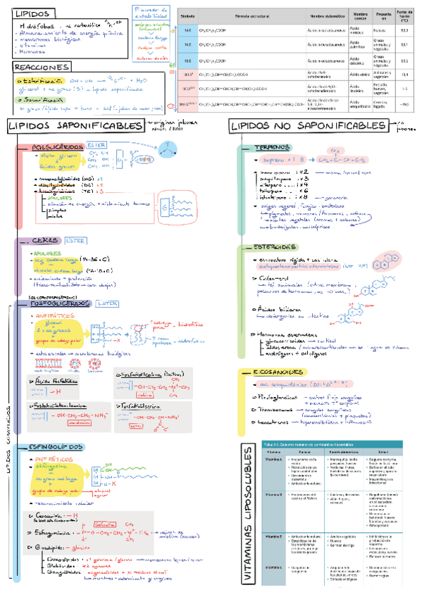 Miniatura del documento LIPIDOS-Infografia-1.pdf
