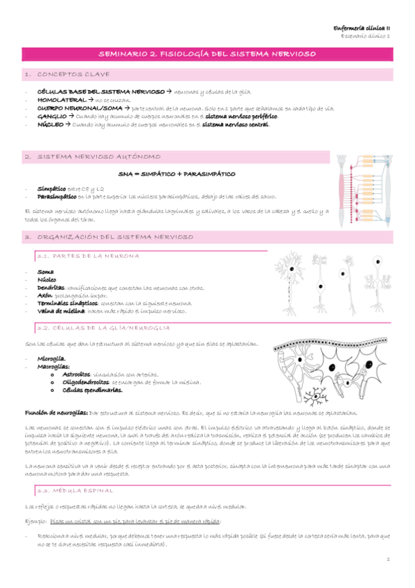 Miniatura del documento Escenario-1-3-Seminario-2.-Fisiologia-del-sistema-nervioso.pdf