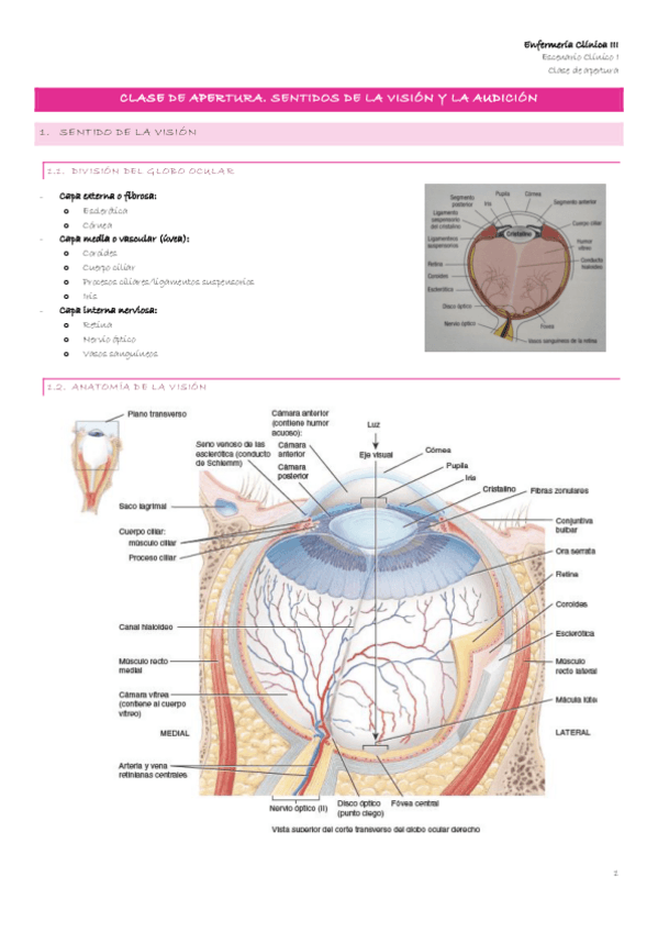 Miniatura del documento Escenario-1-1-Clase-de-apertura.-Sentidos-de-la-vision-y-de-la-audicion.pdf