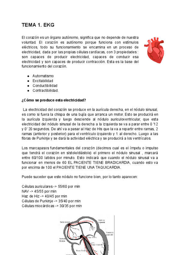 Miniatura del documento TEMA-1-EKG.pdf