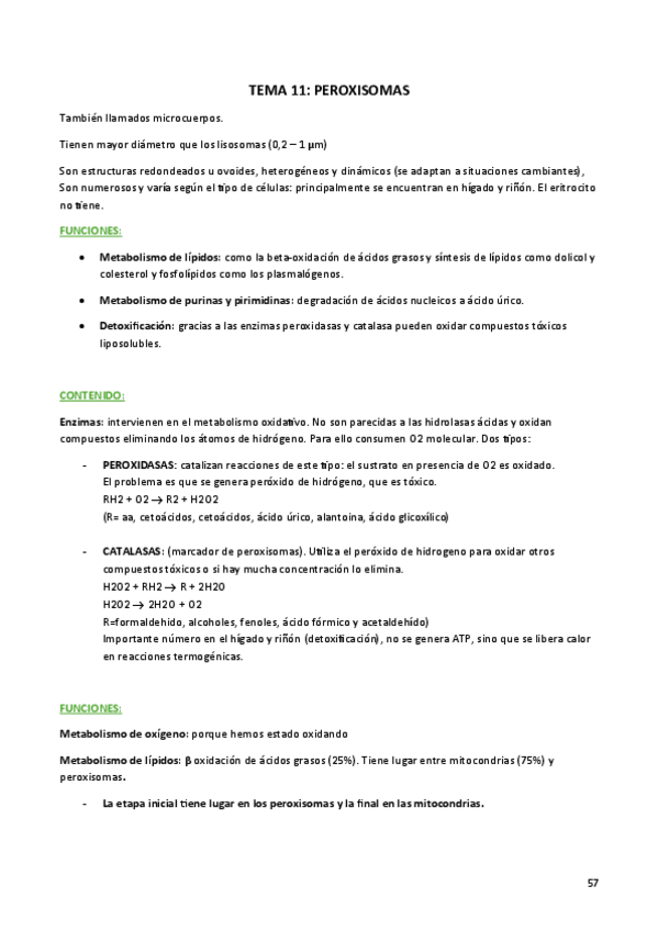 Miniatura del documento segundo-parcial-biocel.pdf