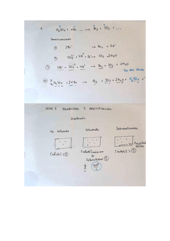 Miniatura del documento Solubilidad-y-precipitacion.pdf