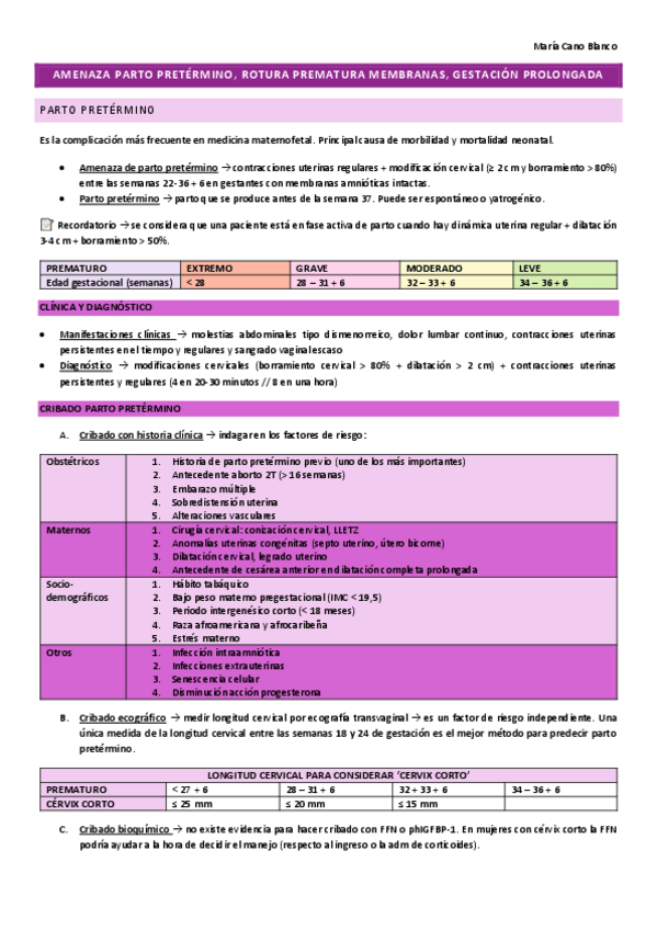 Miniatura del documento T20-PP-RPPM-gestacion-prolongada-diapos--CTO.pdf