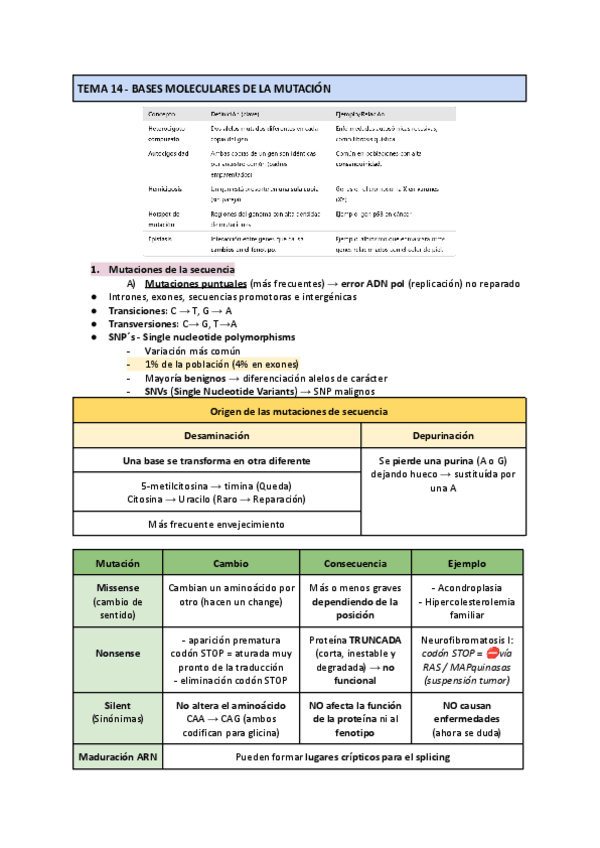 Miniatura del documento RECOPILACION-CONCEPTOS-IMPORTANTES-GENETICA-II-1.pdf