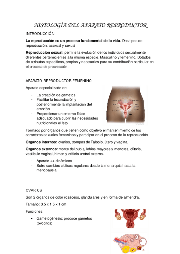 Miniatura del documento HISTOLOGIA-DEL-APARATO-REPRODUCTOR.docx