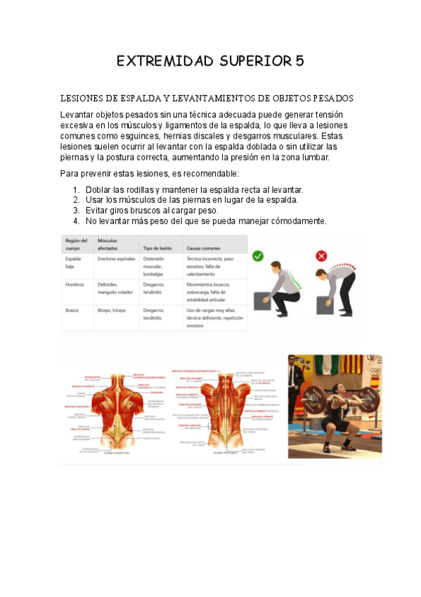 Miniatura del documento EXTREMIDAD-SUPERIOR-5.pdf