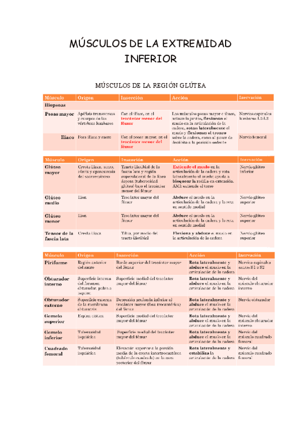 Miniatura del documento MUSCULOS-DE-LA-EXTREMIDAD-INFERIOR.pdf