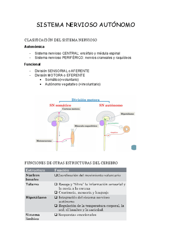 Miniatura del documento SISTEMA-NERVIOSO-AUTONOMO.pdf